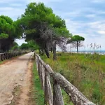 Two-Room Flat Close To The Beach And Nature