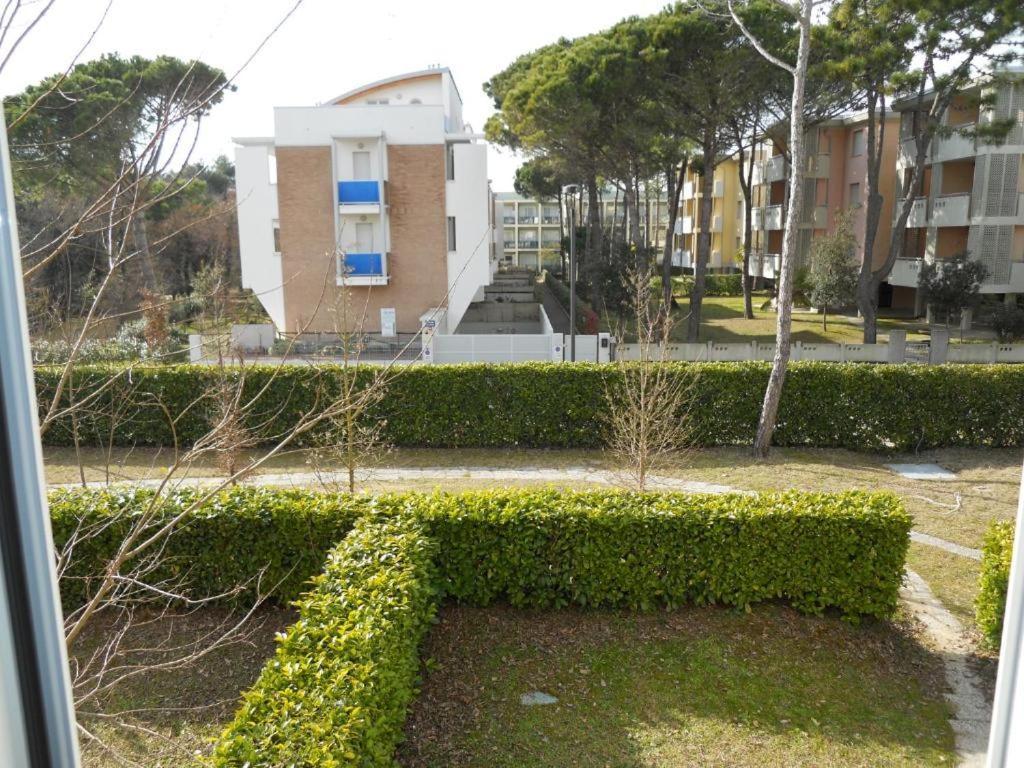 Two-room Flat Close To The And Nature